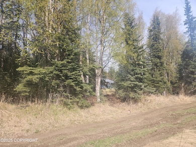 L11 MacKey Lake Rd, Soldotna, AK 99669 - photo 3