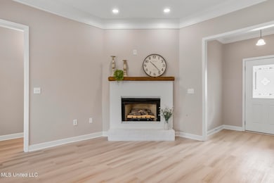 1120 Ellington Ct, Brandon, MS 39042 - photo 5