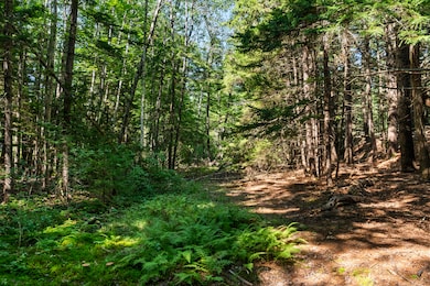 Lot 2B Allen Point Rd, Harpswell, ME 04079 - photo 6