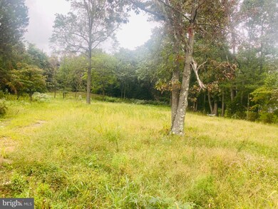 124 Jackson Rd, Berlin, NJ 08009 - photo 4