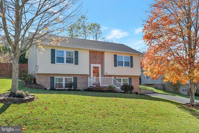 432 E Fairchild Dr, Strasburg, VA 22657 - photo 4