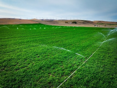 50671 Schubert Rd, Milton Freewater, OR 97862 - photo 6