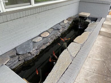 Pond
