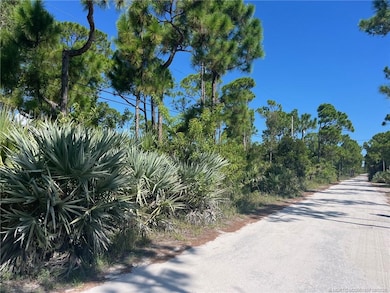 X Tree Top Trail, Fort Pierce, FL 34951 - photo 2