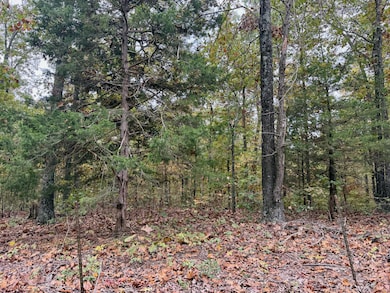 000 Spout Spring Rd, Fordland, MO 65652 - photo 5