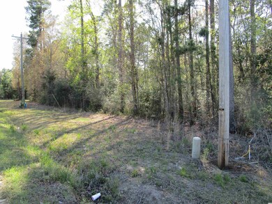 TBD Highway 19, Conway, SC 29526 - photo 2