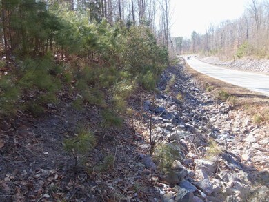 2. Road frontage.JPG