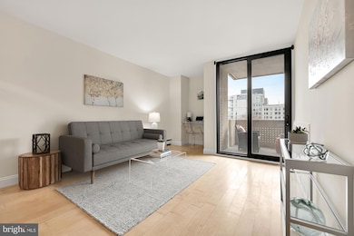 Carrollsburg Square North Tower unit N410, Washington, DC 20024 - photo 5