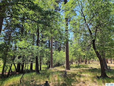 000 Dirt Pine St, Janesville, CA 96114 - photo 2