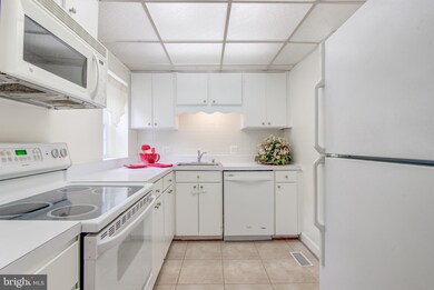 2932 S Columbus St unit A1, Arlington, VA 22206 - photo 6