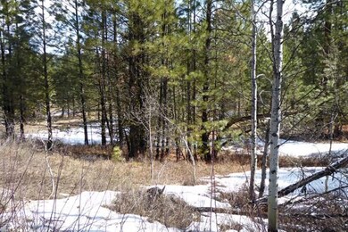 4 Blue Spruce Place unit 6, Cascade, ID 83611 - photo 3