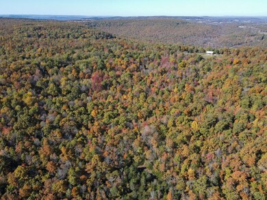 0000 Cr 935, Berryville, AR 72616 - photo 6