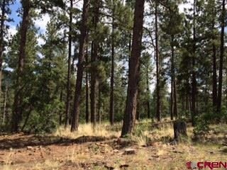 0 Calico Trail unit 696699, Durango, CO 81301 - photo 4