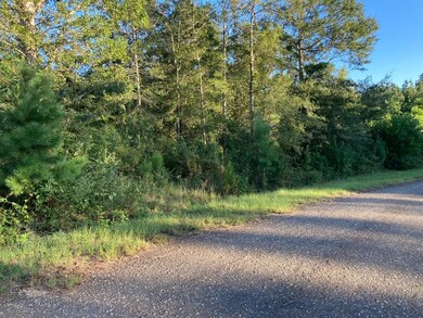 Lot #15 Chase Dr, McComb, MS 39648 - photo 5