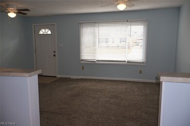 Carpeted entrance foyer with ceiling fan and a healthy amount of sunlight