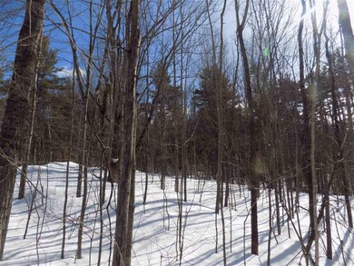 0 Stewart Rd unit 4848641, Eaton, NH 03832 - photo 2