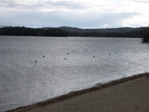 1 Juniper Rd unit c, Bristol, NH 03222 - photo 6