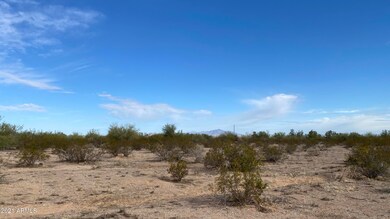 IMG-6831