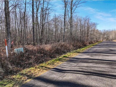 Lot 11 Peninsula Road Rd, Hayward, WI 54843 - photo 4