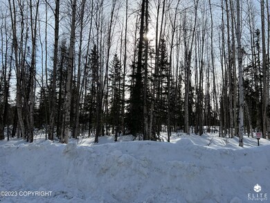 Waiting for Spring
