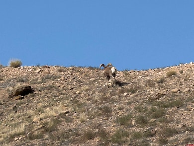 1609 Colorado 141, Whitewater, CO 81527 - photo 4