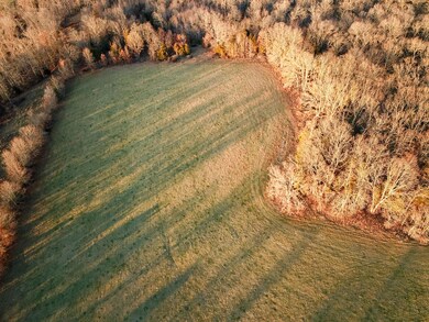 DJI_0278
