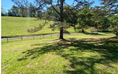 769 Flat Branch Rd, Ellijay, GA 30540 - photo 2