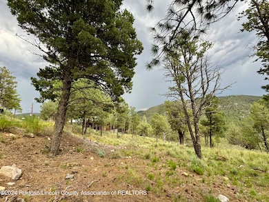 732 Center St, Ruidoso, NM 88345 - photo 7