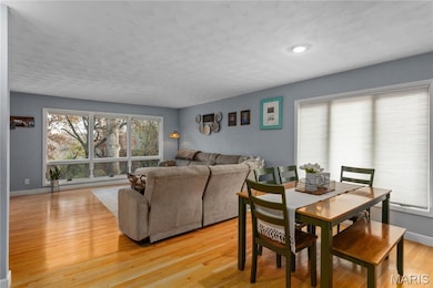 832 Independence Ridge, Springfield, IL 62702 - photo 3