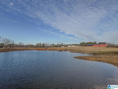 10450 Thermal Rd, Trafford, AL 35172 - photo 6