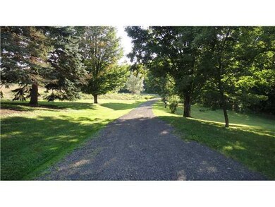 Other Mature Trees Along Level Driveway