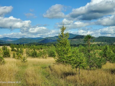 NKA Ogara Rd, Harrison, ID 83833 - photo 5