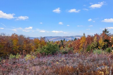 0 Skyline Dr unit 30-1 4949228, Hebron, NH 03241 - photo 5