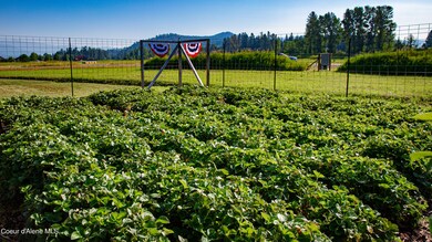 7 - Strawberry Garden