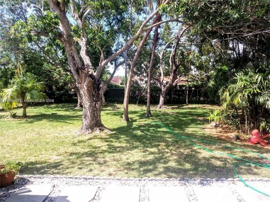 Huge Back Yard