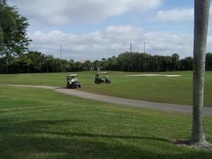 Golf View from Rear Patio