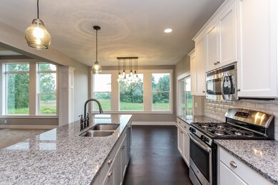 009-Kitchen-2031603-large