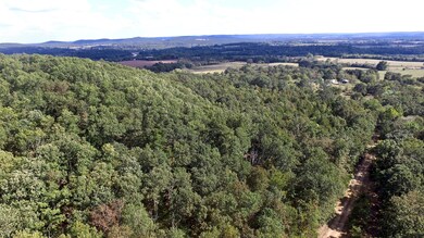 0 Farm Road 2100, Jenkins Township, MO 65605 - photo 6