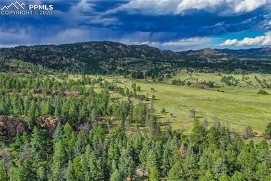 TBD Spring Valley Dr, Florissant, CO 80816 - photo 6