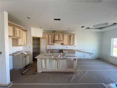 807 Lark Cir, Alamo, TX 78516 - photo 7