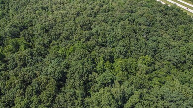 0N of County Road 474, Poplar Bluff, MO 63901 - photo 7