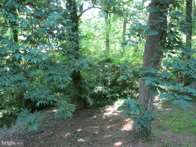 2668 Pine Grove Rd, Stanley, VA 22851 - photo 5