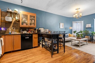 881 Harrison Ave unit 1, Boston, MA 02118 - photo 5