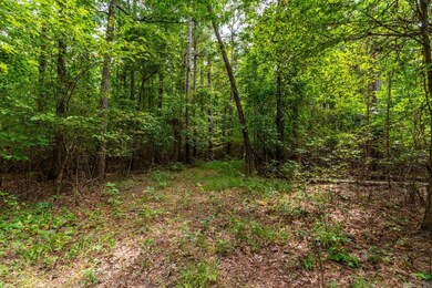 200 Acres Greene 718 and 707 Rd, Paragould, AR 72450 - photo 4