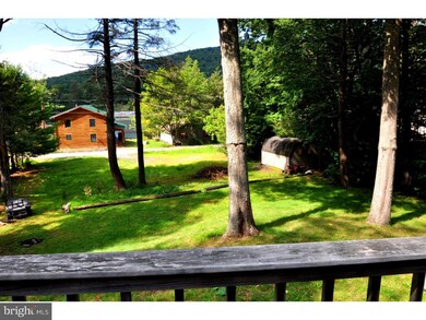 19 Bald Eagle Dr, Ashland, PA 17921 - photo 6