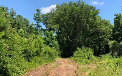 0 Cr-245 unit 111260, Lake City, FL 32061 - photo 4