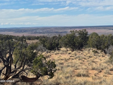 Lot 62 Sierra Highlands Ranch -- unit 62, Saint Johns, AZ 85936 - photo 2