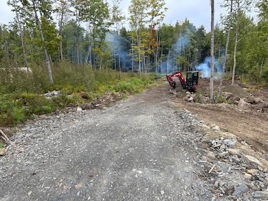 Lot #7 Hammond Brook Rd, Monson, ME 04464 - photo 6