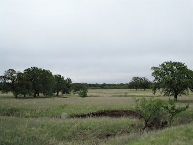 unlisted-address, Jacksboro, TX 76458 - photo 4