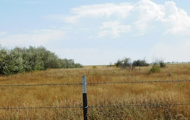 20881 New Underwood Rd, New Underwood, SD 57761 - photo 4